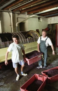 In the wine press room In the wine press room